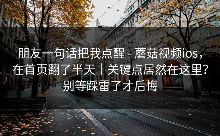 朋友一句话把我点醒 - 蘑菇视频ios，在首页翻了半天｜关键点居然在这里？别等踩雷了才后悔